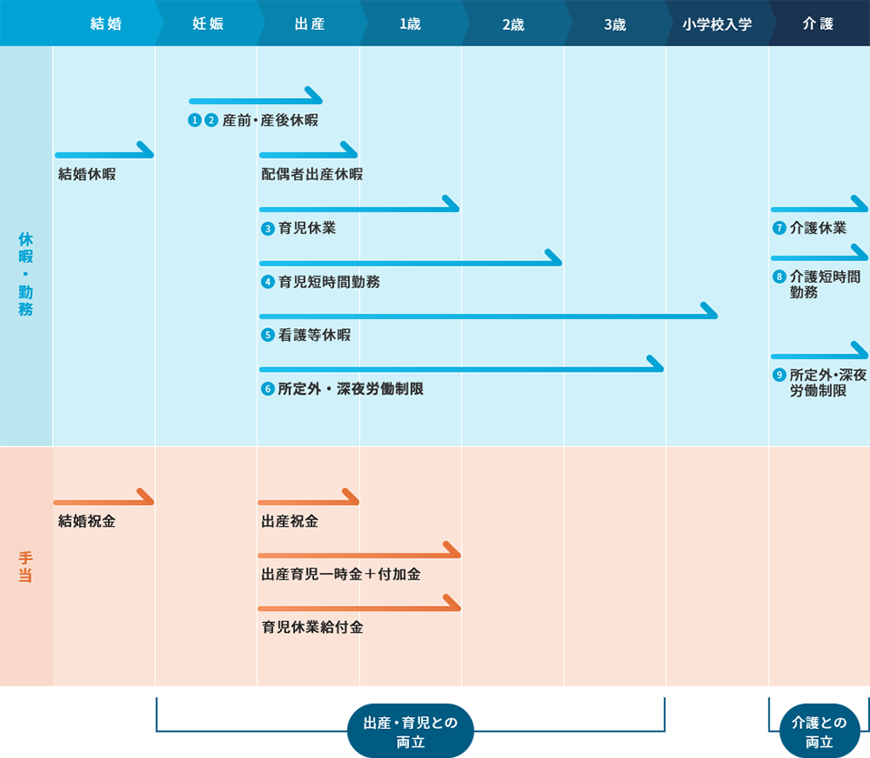 制度体系